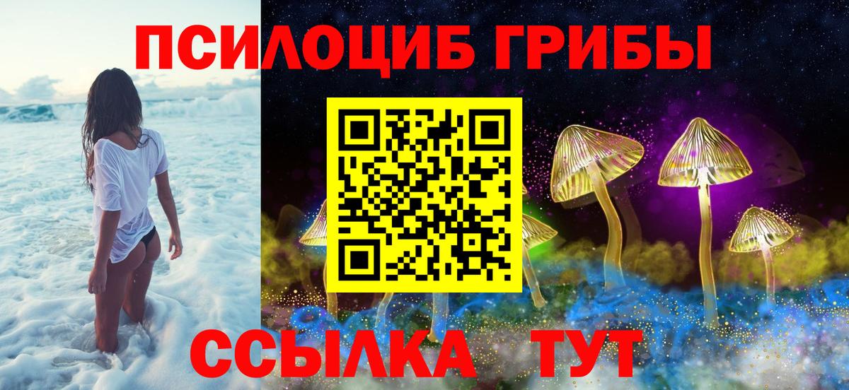 где купить наркоту  Псилоцибиновые грибы GOLDEN TEACHER  Вход с VPN  Новоалтайск 