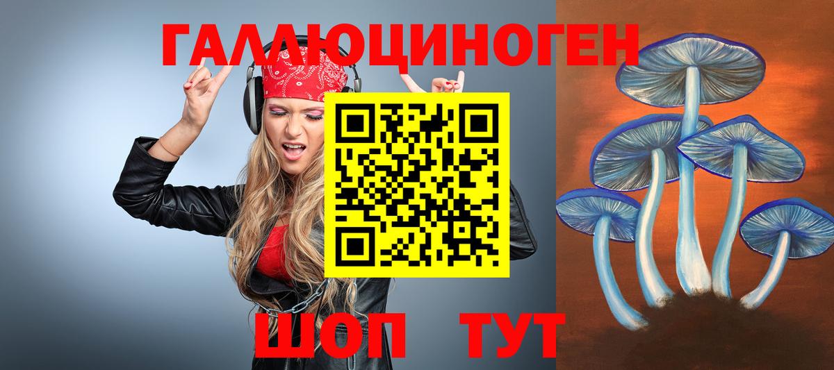 Галлюциногенные грибы GOLDEN TEACHER Новоалтайск